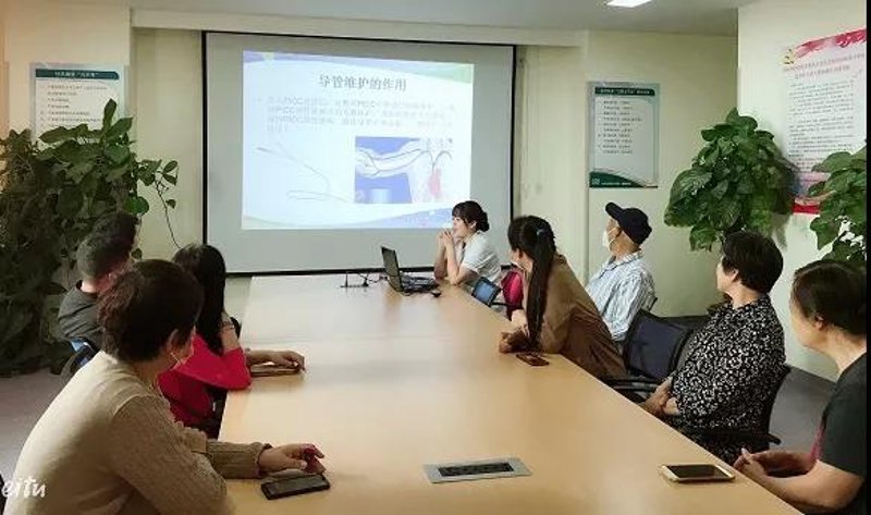 站群程序出售：构建电商帝国的秘密武器